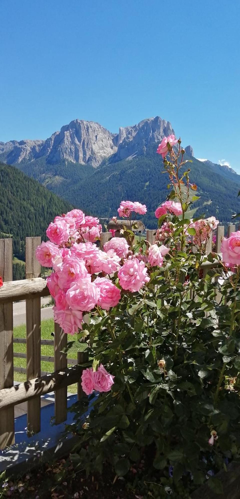 Villetta Muncion Pozza di Fassa Exteriör bild